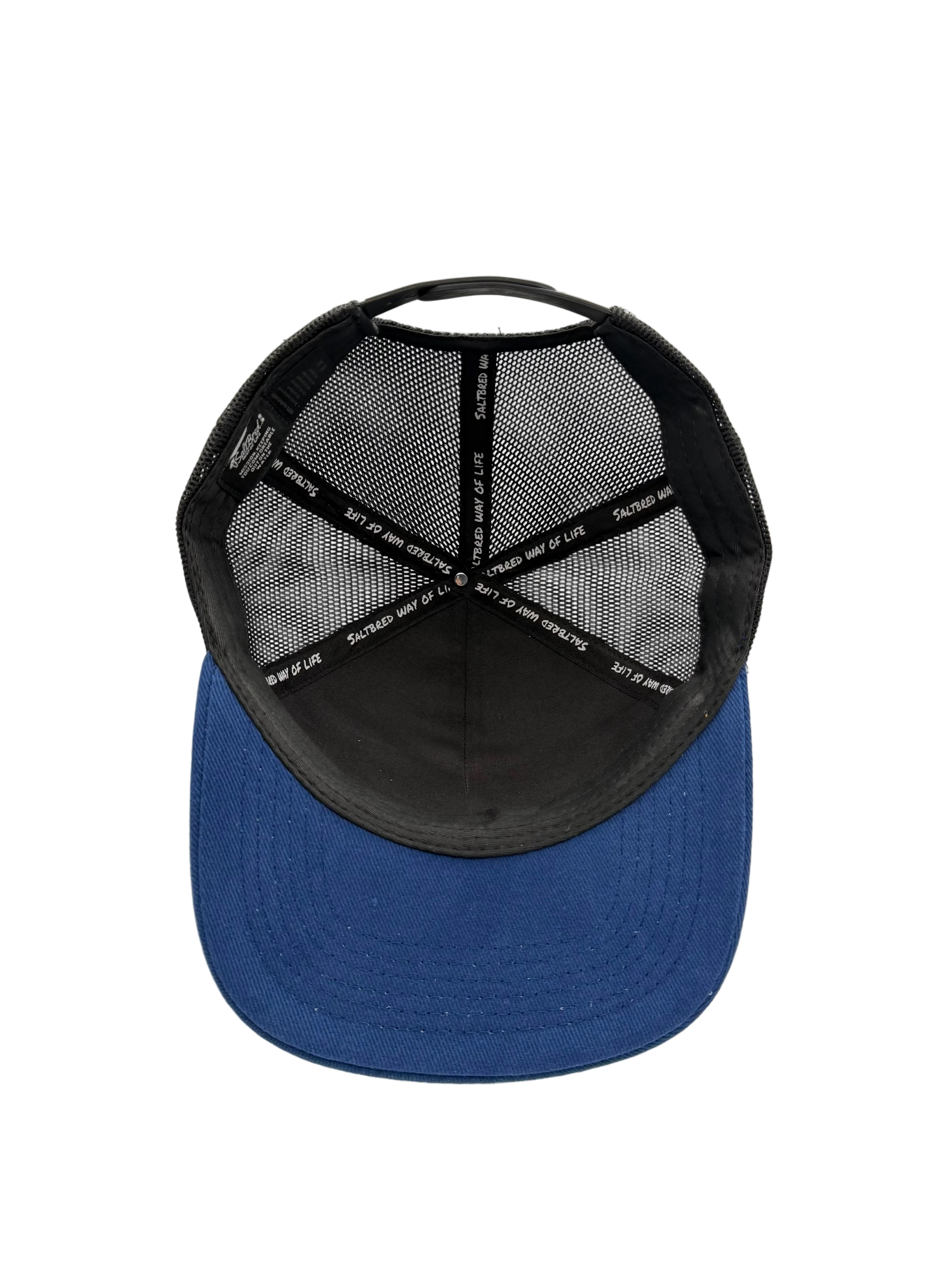 OG Coastal Snapback