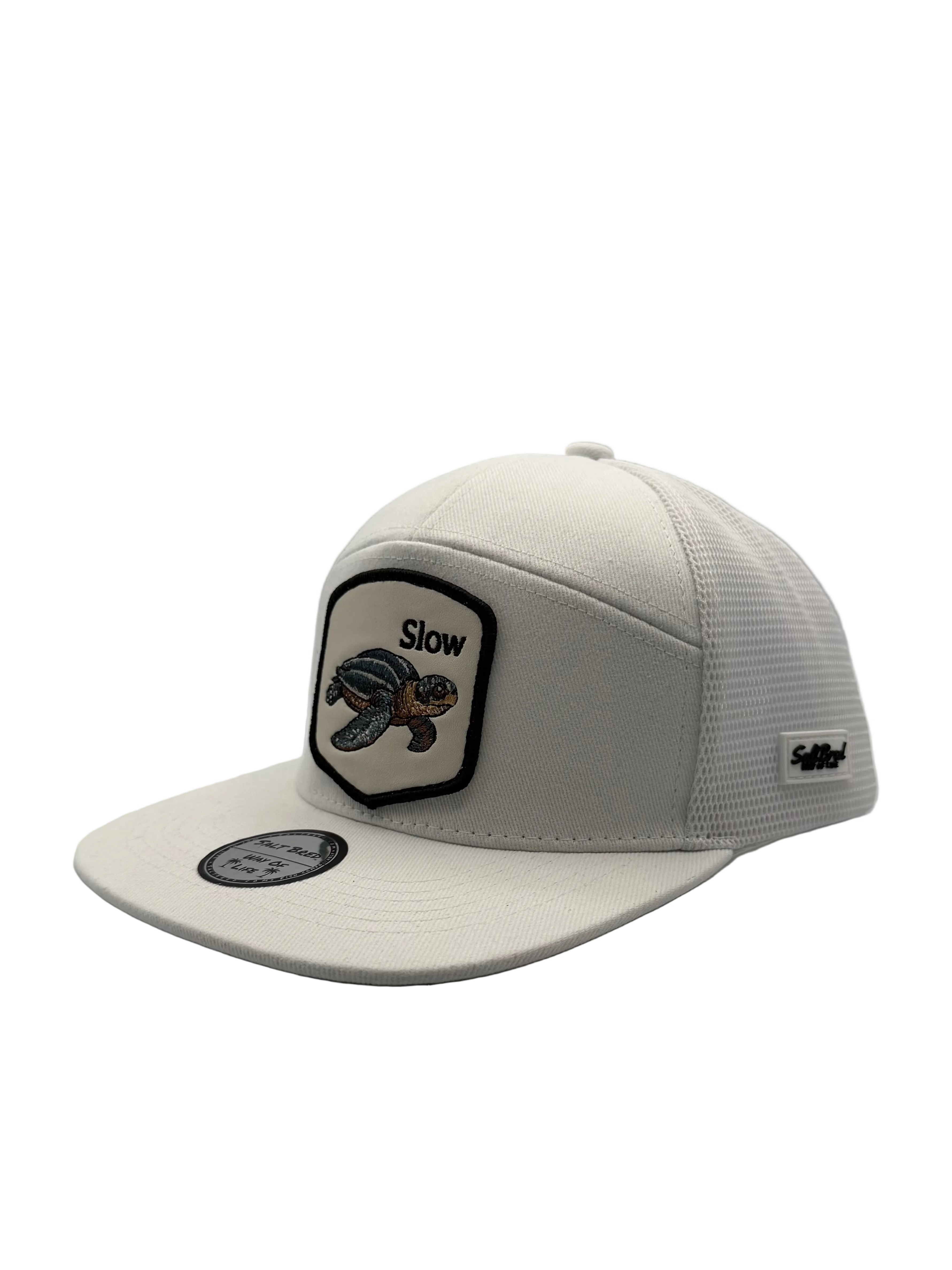 Sea Turtle Coastal Snapback