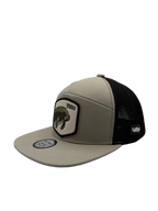 Manatee Coastal Snapback