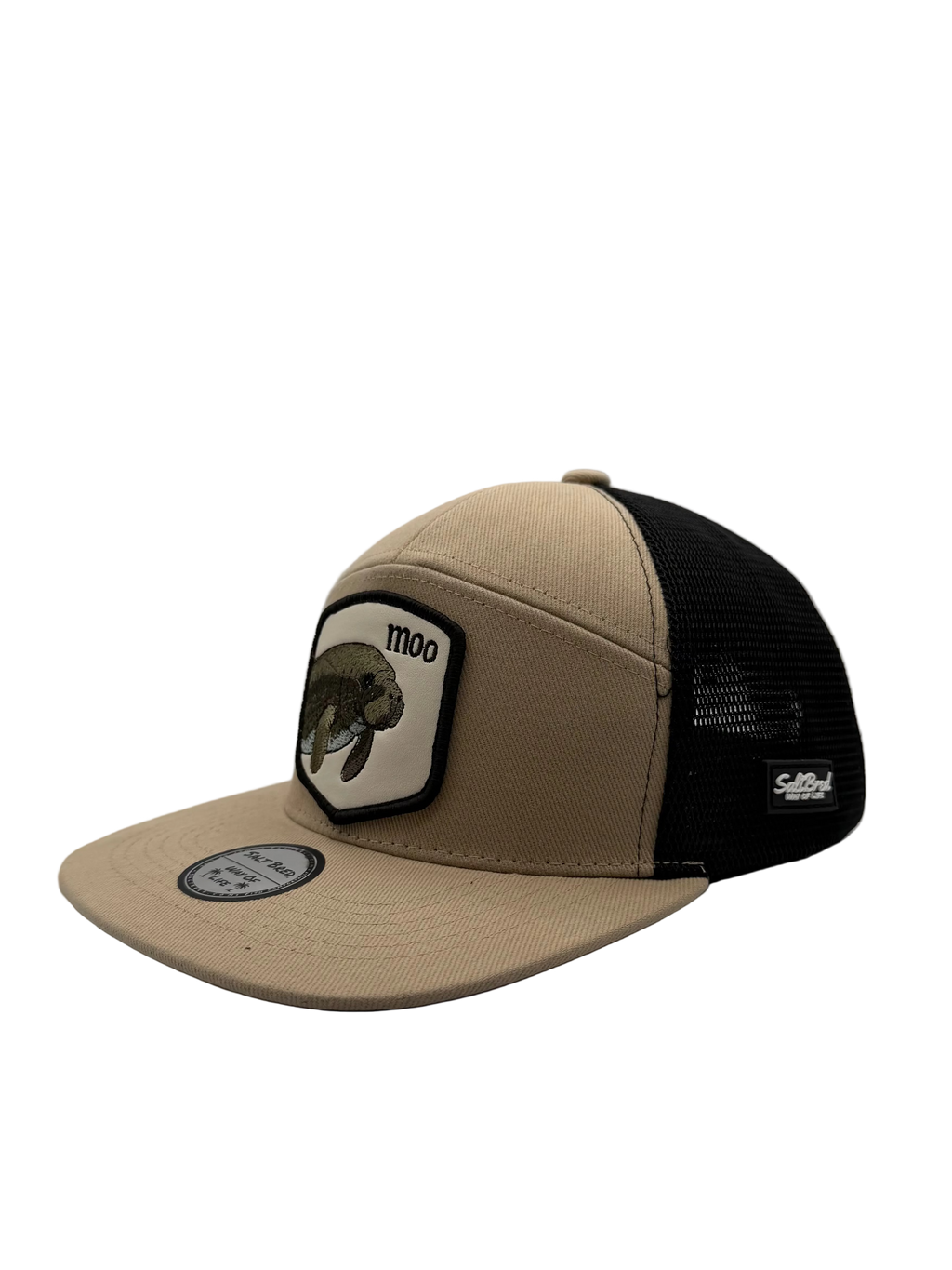 Manatee Coastal Snapback