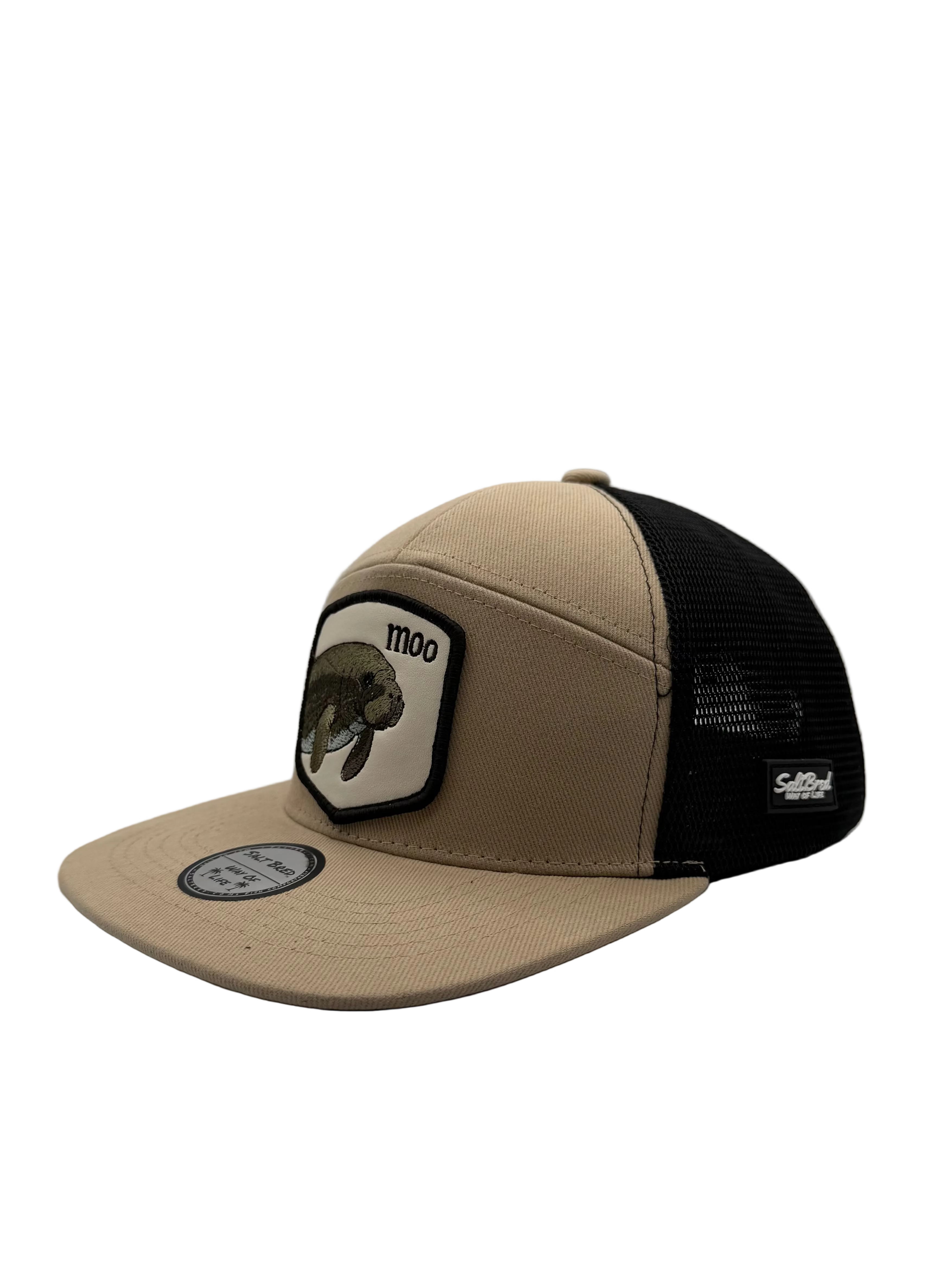 Manatee Coastal Snapback