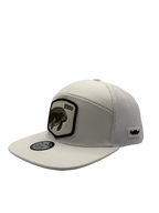 Manatee Coastal Snapback