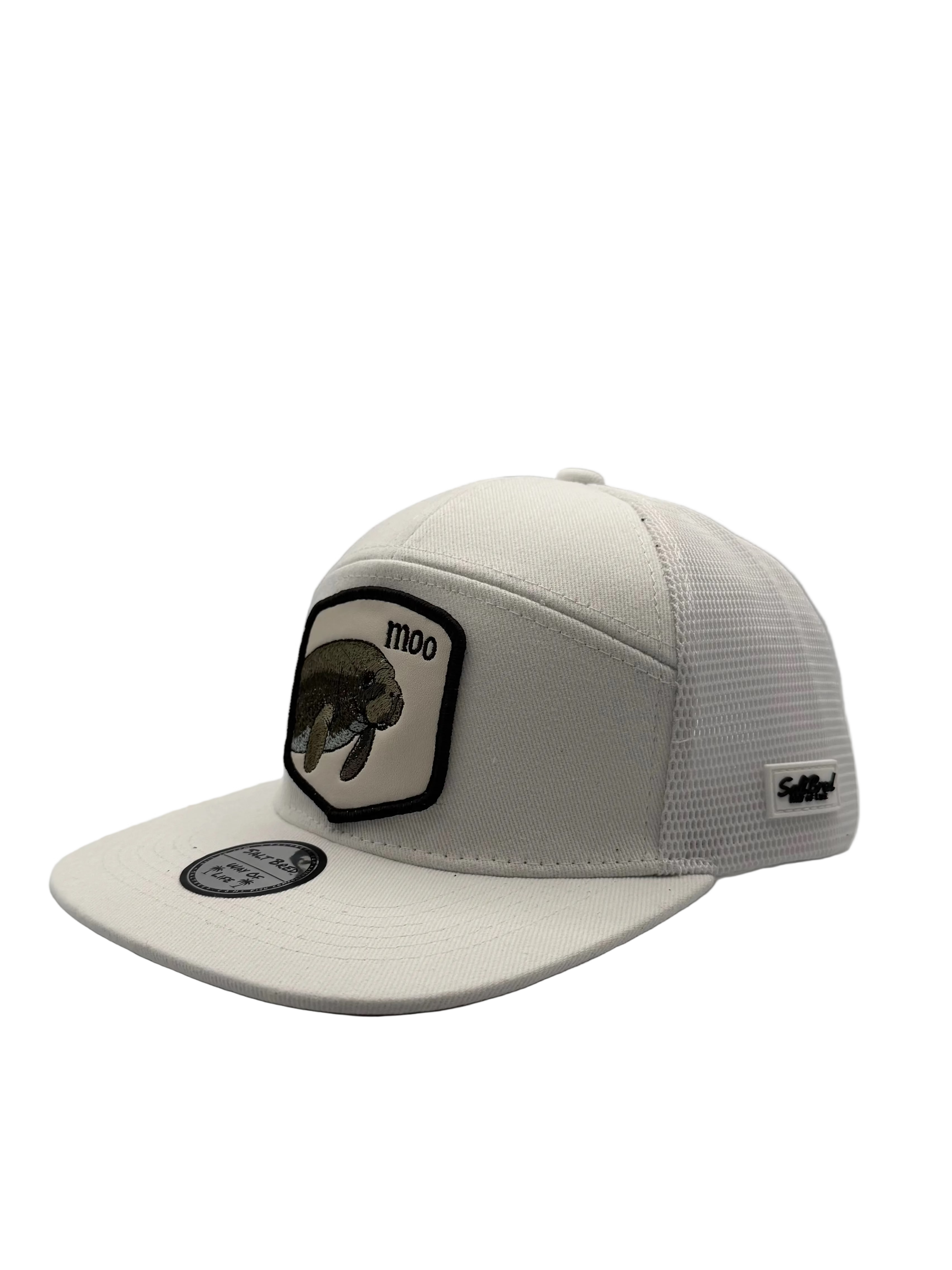 Manatee Coastal Snapback
