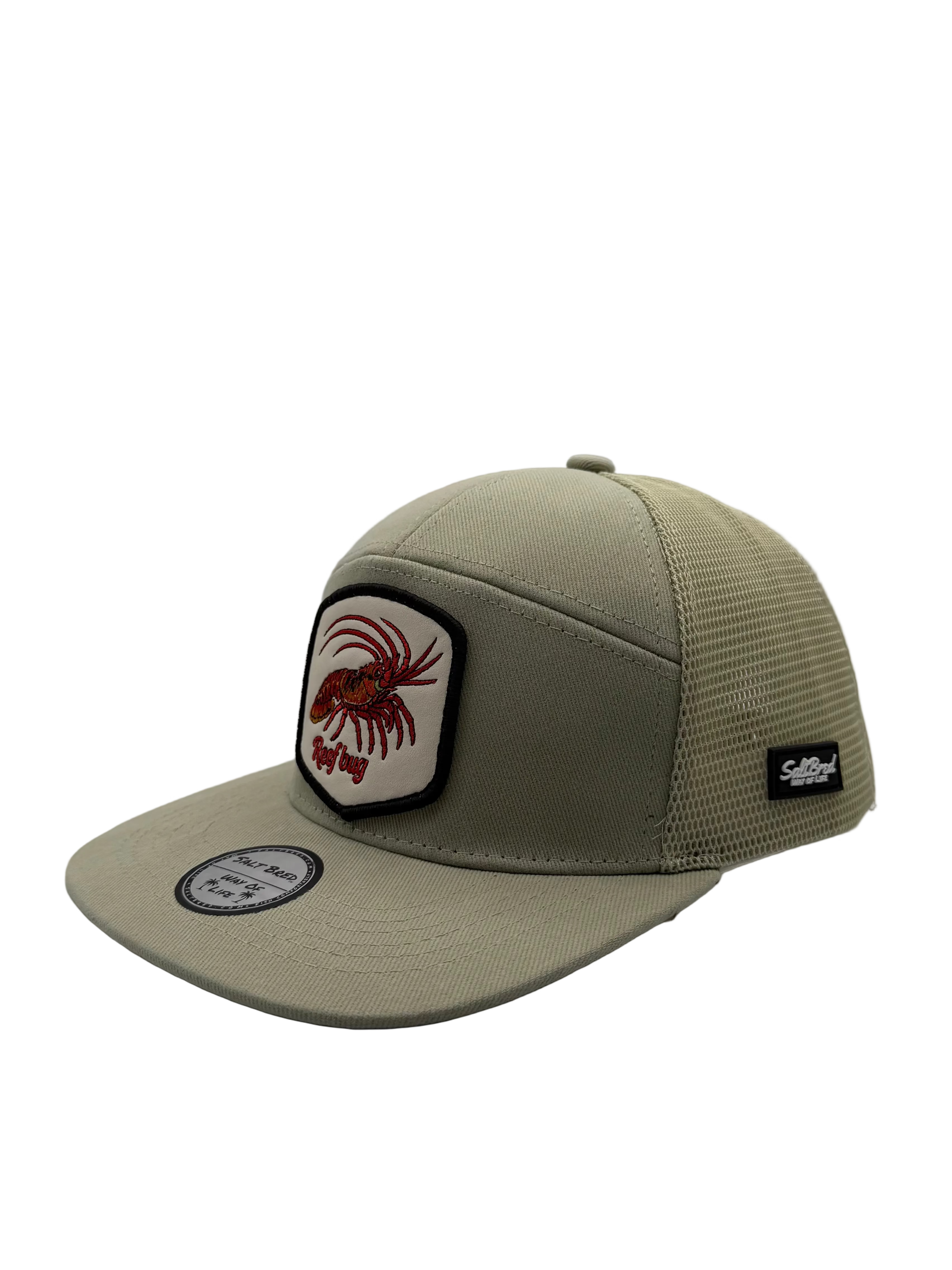 Reefbug Coastal Snapback