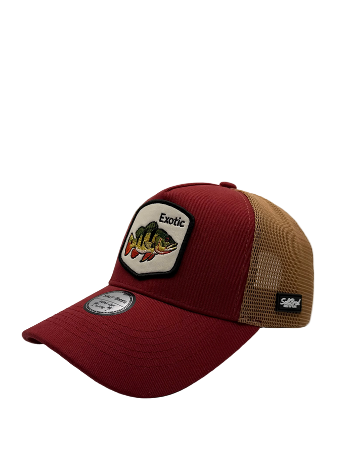 Exotic Coastal Trucker