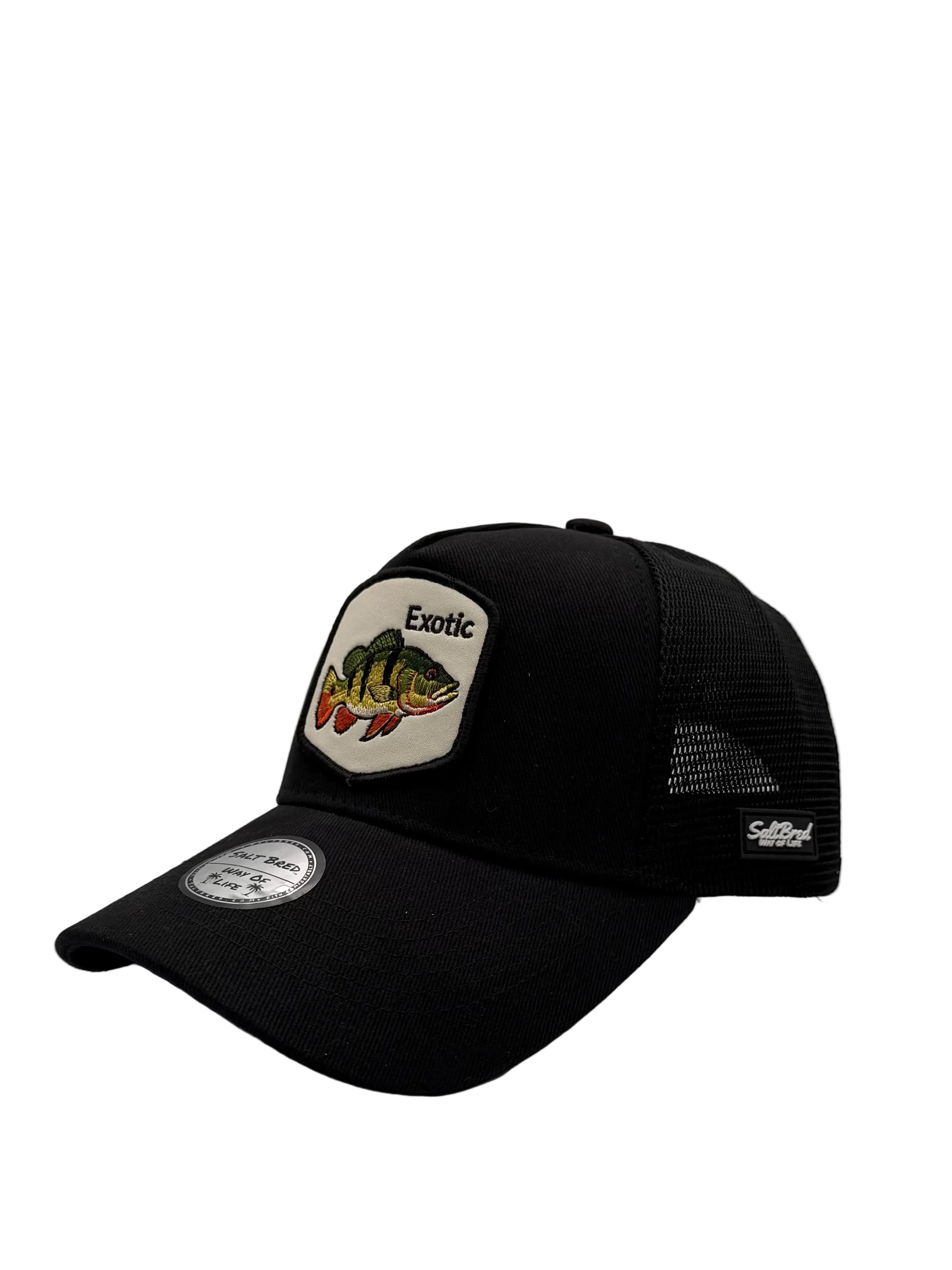 Exotic Coastal Trucker