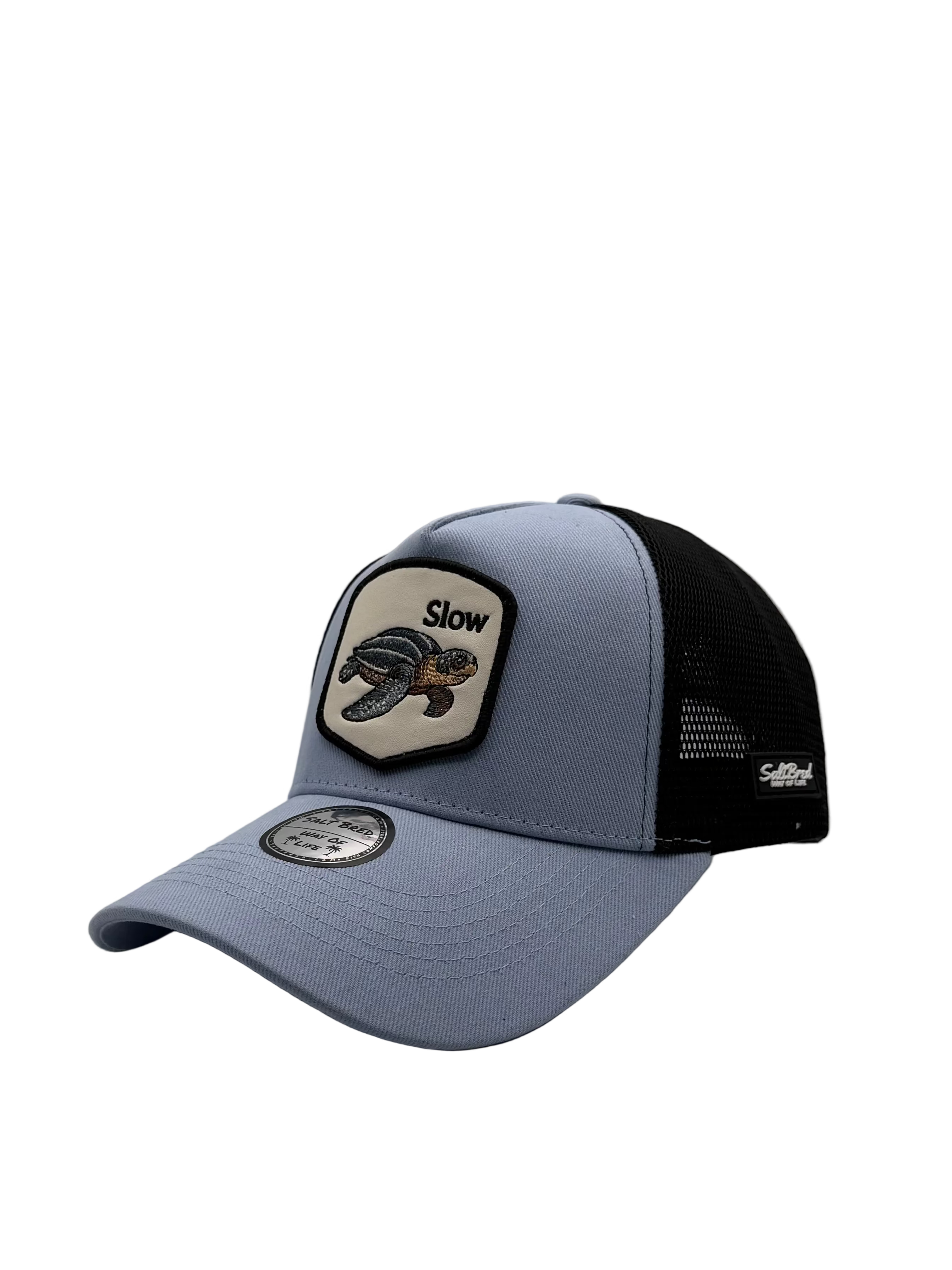 Seaturtle Coastal Trucker