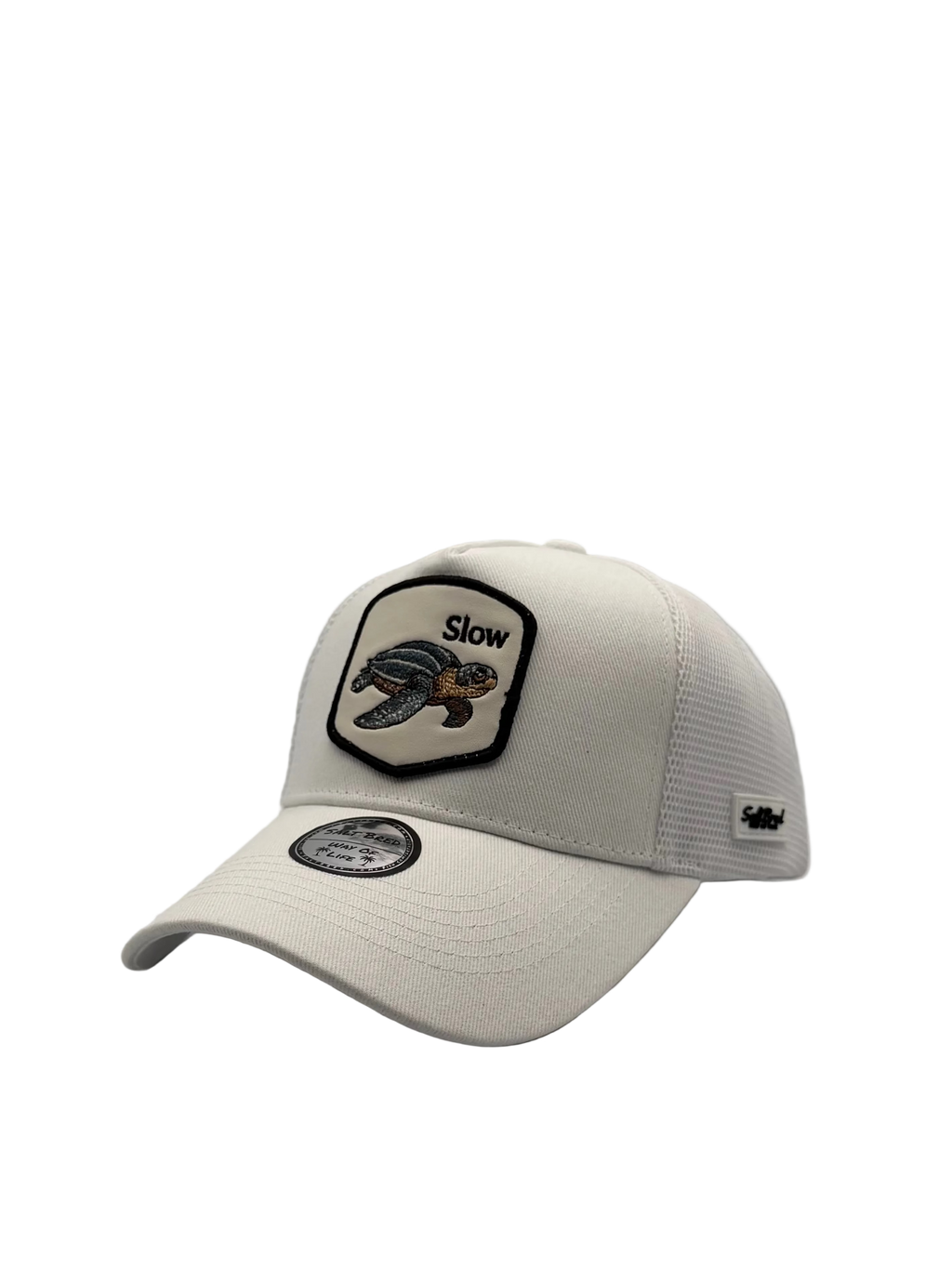 Seaturtle Coastal Trucker