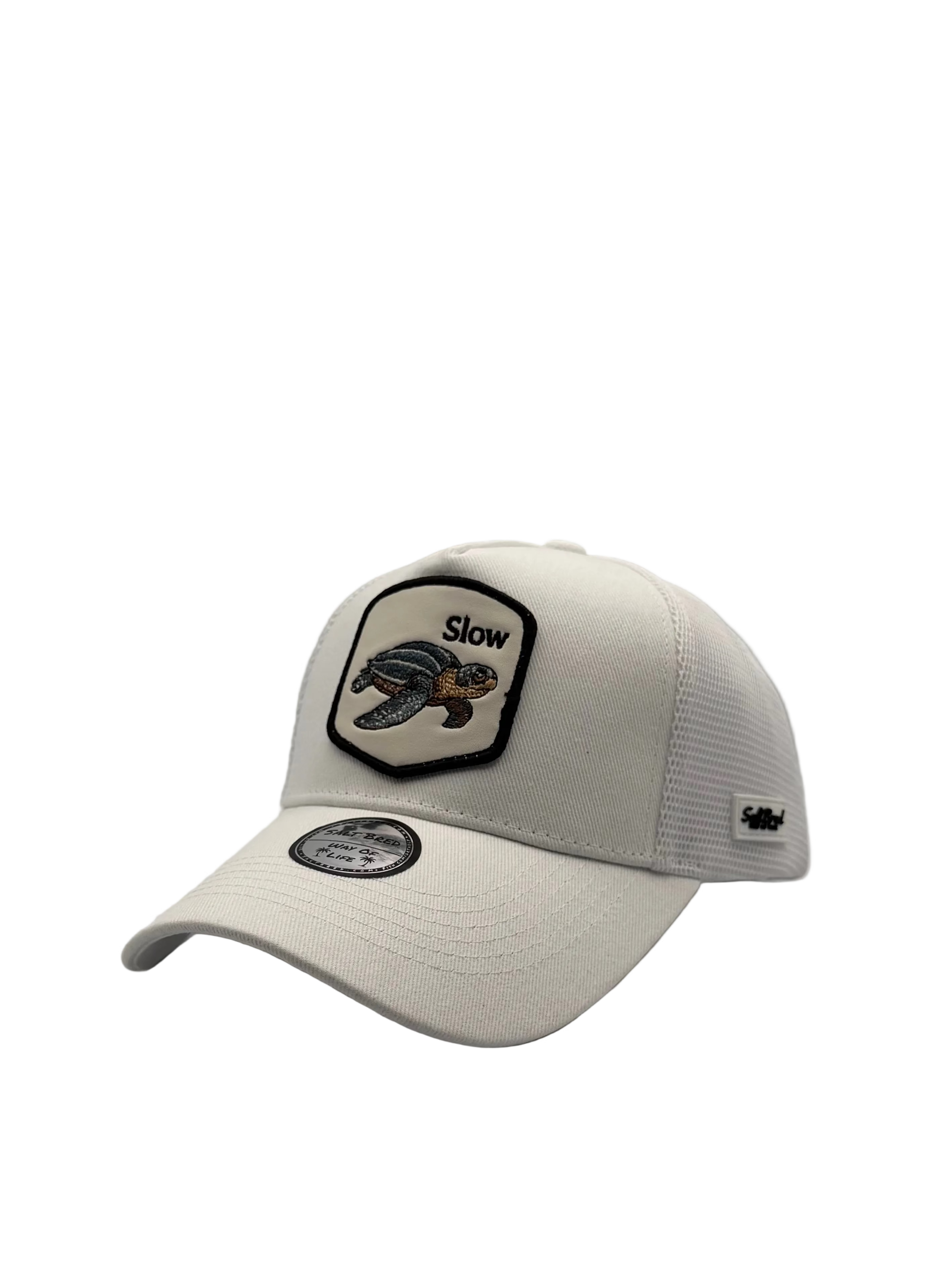 Seaturtle Coastal Trucker