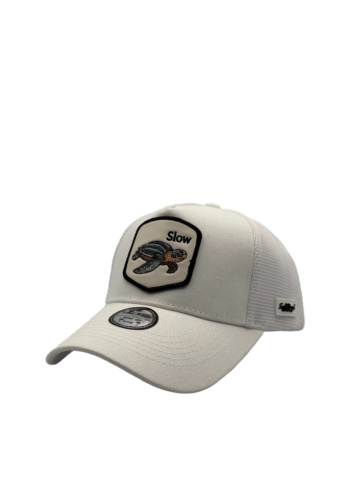 Seaturtle Coastal Trucker