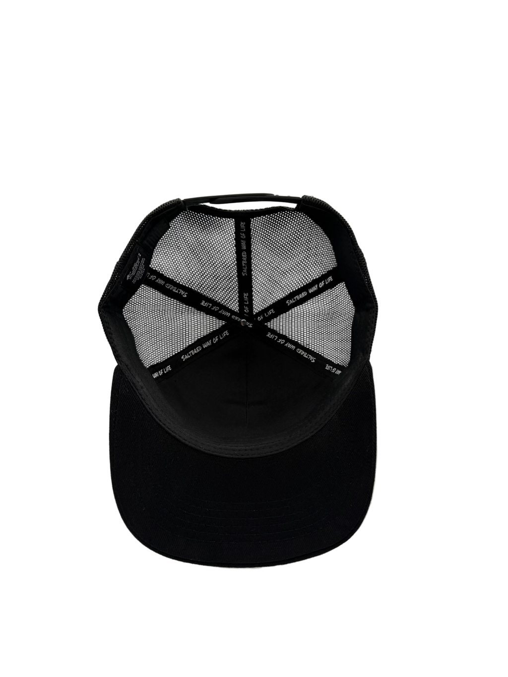 OG Coastal Snapback